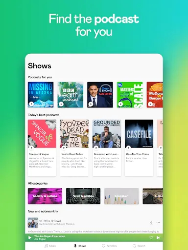 Screenshot 13
