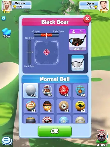 Screenshot 13