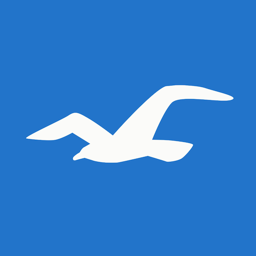 Hollister Co. cover