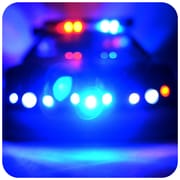 Police Light and Siren Prank