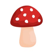 Shroomify - USA Mushroom ID